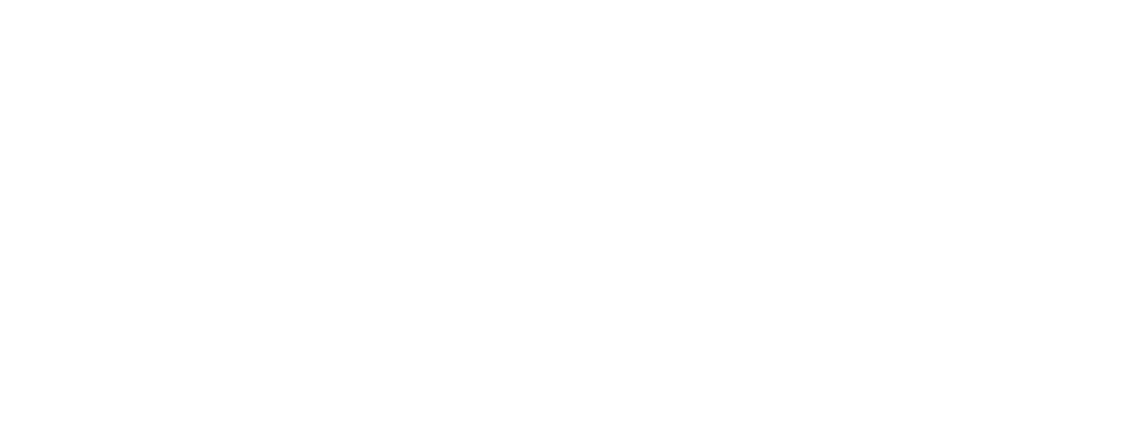 webonautics logo